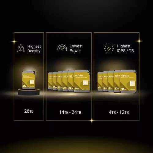 WD Gold Graphic